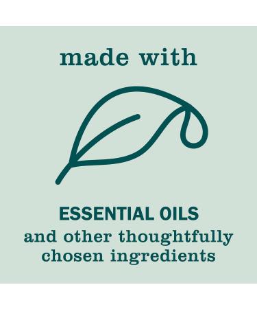 MRS. MEYER'S CLEAN DAY Liquid Hand Soap, Birchwood Scent, 12.5 fl oz (Pack of 3) - Buy Online on GoSupps.com