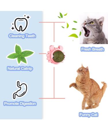 Havenfly 3 Catnip Balls Interactive Cat Toys 360 Rotating Catnip Treats with Storage Lid Effective for Cleaning Teeth and Enhancing Cat's Excitement (3PCS) - Buy Online on GoSupps.com