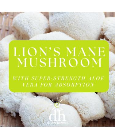Desert Harvest Lion s Mane Mushroom Supplement - Cognitive Support - 90 Capsules - Buy Online on GoSupps.com