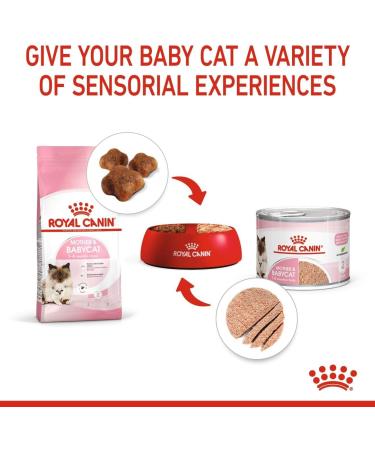 Royal Canin Mother & Babycat Mousse | 12 x 195 g | Complete Food for Cats | Especially for the Mother Cat and Her Puppies | To Support the Body's Defense - Buy Online on GoSupps.com