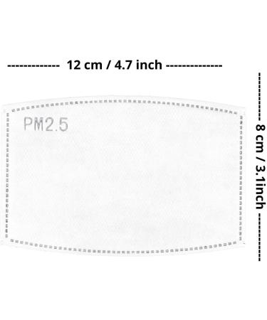 Debrief Me USA Certified PM2.5 Mask Filters (30 Pcs) for Face Masks - Buy Online on GoSupps.com