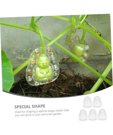 SUPVOX 5pcs Vegetable Fruits Adorable Growing Mini Growth Pear Statue Fruit Gardening Melon - Buy Online on GoSupps.com