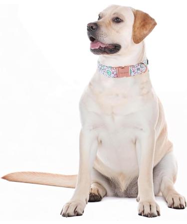 Unique Style Paws Summer Dog Collars - Lotus Frosch Cabbage & Linen Wide Training Collars for Small Medium & Large Dogs - Buy Online on GoSupps.com