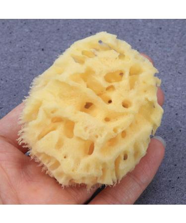 GANAZONO Esponja para Ba arse Cleaning Scrubber Shower Accessory Back Scrubber Bath Ball Shower Scrubber Bath Exfoliating Tool Bathroom Shower Ball Sponge Shower Supplies Body Baby - Buy Online on GoSupps.com