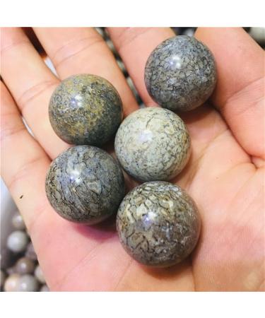 Natural Crystal Rough Gemstones for Decoration 5pc Natural Crystal Dinosaur Stone Crystal Decorated Ball Aura Crystal - Buy Online on GoSupps.com