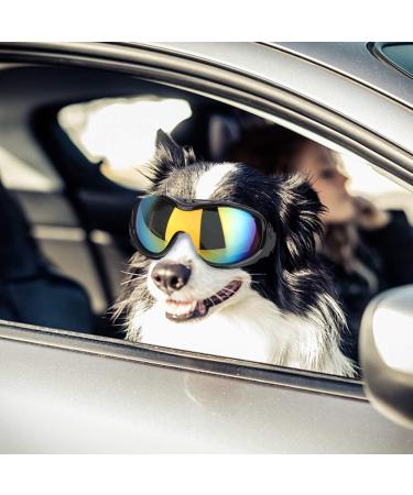 UV Protection Goggles for Medium & Large Dogs | Blue Sunglasses Accessories for Eye Safety - Buy Online on GoSupps.com