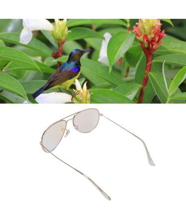 Red Green Color Blind Glasses - Lightweight Golden Frame for Color Weakness Correction | Durable for Men & Women | Indoor & Outdoor Use - Buy Online on GoSupps.com