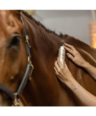 SUNRIDE Horse Care Oil (Herbal Healing) 100 ML for irritations wounds skin rashes - Buy Online on GoSupps.com