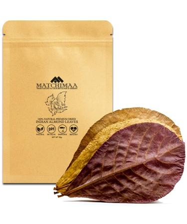 Premium Indian Almond Leave. Aquarium Decorations Size 6-9" Pack 50g(20-25 Leaves). Catappa Leaves Rich in Tannin. Superb to be Health Better, Vitality, Succesful Breeding! of Shrimp & Betta Fish Tank