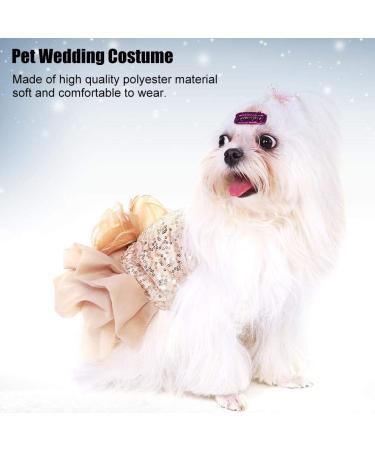 Bling Dog Dress Comfortable Dog Luxury Princess Wedding Dress Shiny Pet Lace Dress Sequined Princess Summer Pet Cloth for Small Dog Puppy(Gold L) - Buy Online on GoSupps.com