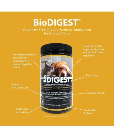 BiologicVET - BioDIGEST Plant Probiotic 380g All-Natural Advanced Dog & Cat Probiotic Powder with Prebiotics & Flax Relieves Diarrhea and Constipation Supports Digestion Allergy Immunity & Health 380 g (Pack of 1) - Buy Online on GoSupps.com