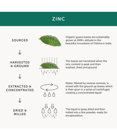 Organic Zinc Supplement by Together Health - Natural Source from Guava Leaves - Vegan - Made In UK - 30 Vegecaps - Buy Online on GoSupps.com