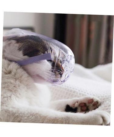 BESPORTBLE 4pcs Cat Muzzle Transparent Muzzle Cat Muzzle Cat Head Muzzle Dog Muzzles Pp - Buy Online on GoSupps.com