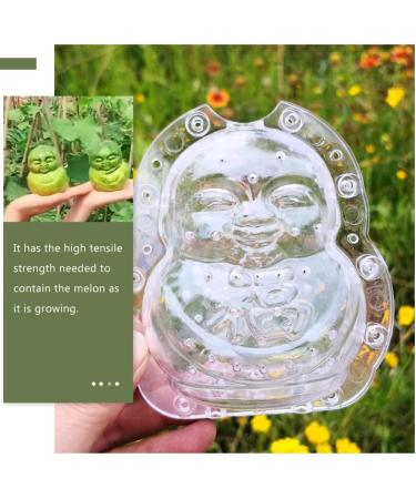 Cabilock Fruitella 2Pcs Cucumber Shaping Clear Watermelon Growing Molds Transparent Pear Growing Fruit Vegetable Shaping Mould Vegetables - Buy Online on GoSupps.com