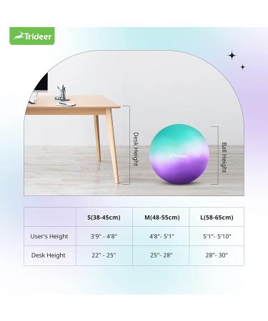 Trideer Dreamy Exercise Ball 65cm - Yoga Ball for Home Gym, Desk Chair - Fitness & Physical Therapy - Quick Pump Included - Buy Online on GoSupps.com