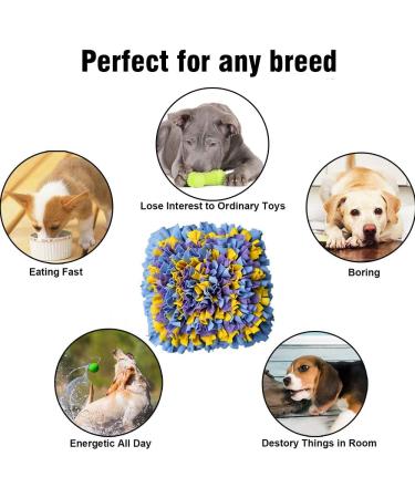 Ieuumler Sniffing Carpet for Dogs & Cats - 45x45cm Training Mat in Blue Yellow & Purple | International Shipping - Buy Online on GoSupps.com