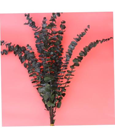 Zerodeko 10pcs Flower Plants Wedding Bouquets Eucalyptus Branches Naturales Faux Eucalyptuses Faux Eucalyptus Leaves Eucalyptus Tree Leaves Fake Eucalyptus Christmas Decorations - Buy Online on GoSupps.com