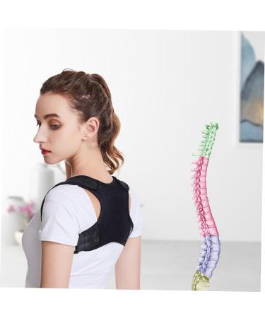 FRCOLOR Posture Corrector Shoe Slots - Comfy Retainer Support Belt & Straightener Holder Carrier (84x30cm Black) - Improve Posture & Comfort - Buy Online on GoSupps.com