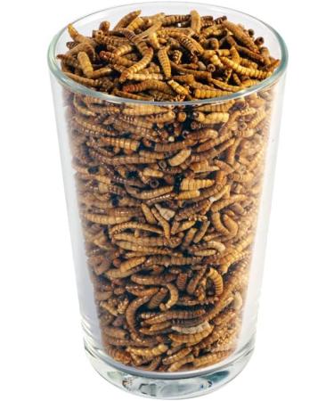 Crunchy Critters Edible Insects Half a pint of Mealworms - 59g - Buy Online on GoSupps.com