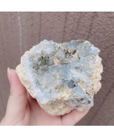 Natural Madagascar Geode Crystal Celestite Raw Stone Blue Geode Specimen Ornaments Crystal Stone Decor JIZTGEDM 100g - Buy Online on GoSupps.com