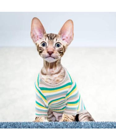 Pumyporeity XXL Green Stripes T-Shirt for Sphynx Cats | Soft Breathable Pajama Tank Top for Hairless Cats | Comfortable & Stretchy Cat Vest - Buy Online on GoSupps.com