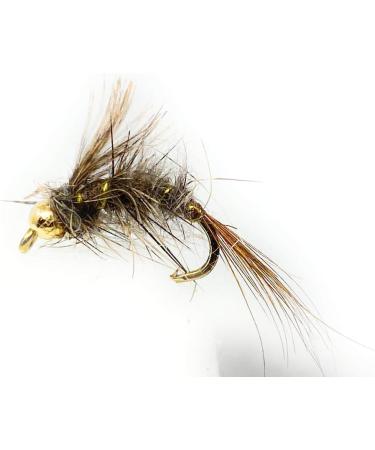 School of Fly Fishing Hares Ear Nymph Fly Assortment - 12 PC Set - Buy Online on GoSupps.com