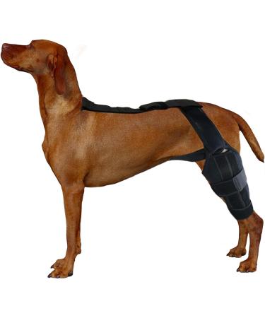 Dog Knee Brace - Dog ACL Knee Support Brace | Adjustable Traction Belt Support Dog Knee Brace for Cruciate Ligament Injury for Small Dogs with Torn ACL L left - Buy Online on GoSupps.com