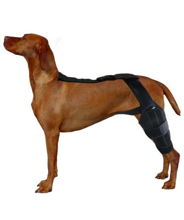 Dog Knee Support Brace Dog Knee Support Brace Brace Behind Leg Neoprene Hip Brace Adjustable Traction Belt Stabilizer for Torn ACL Leg M left