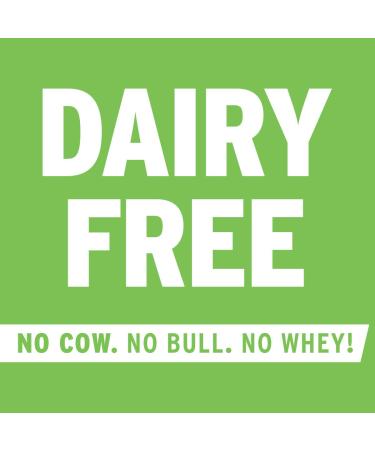 No Cow High Protein Bars 12 Pack - Plant Based Vegan Protein, Keto Friendly, Low Sugar, Low Carb, Gluten Free | Top Flavors Variety Pack - Buy Online on GoSupps.com