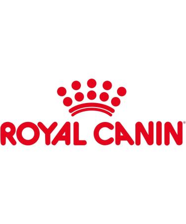 ROYAL CANIN Shihtzu Adult 1.5 kg + 1 can of wet food - Buy Online on GoSupps.com