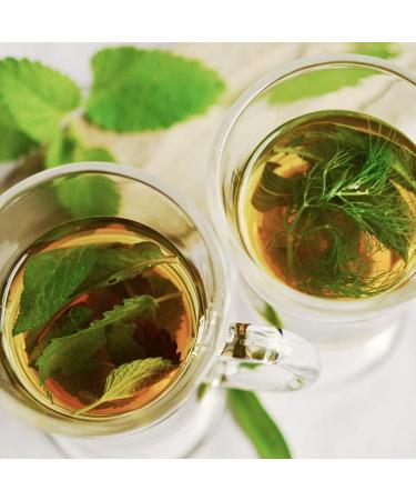 Steviapura Stevia Leaves 500g - Pure Natural Sweet Herb Microfine Ground Vegetable Sweetener - Premium Quality - Buy Online on GoSupps.com