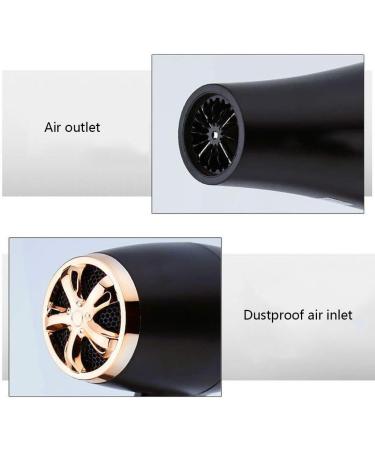 Professional Hair Dryer 2200W AC Motor Negative Ionic Technology Blow Dryer with 3 Heat & 2 Speed Setting and Cool Shot Button Nozzle Included Fast Drying Salon Hairdryer for Men and Women Small Gift - Buy Online on GoSupps.com