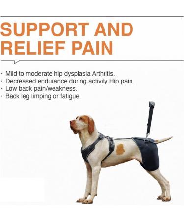Dog Knee Brace for Torn Hind Leg or Back Leg Adjustable Pet Dog Rear Leg Bracer Support for Joint Pain Muscle Sore Knee Cap Dislocation Black for Injury Arthritis ACL Pain Relief(Large) - Buy Online on GoSupps.com