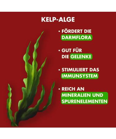 Irish Pure Dry Dog Food 4kg | Beef & Chicken | High Meat Cereal-Free | Sensitive Formula for All Breeds - Buy Online on GoSupps.com