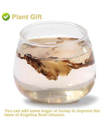 Buy Organic Angelica Root 70g - Dried Cut Root & Tea | Premium Archangelica Officinalis for Herbal Remedies - International Shipping - Buy Online on GoSupps.com