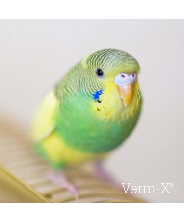 Verm-X Original All Natural Pellets for Caged Birds. SupportsIntestinal Hygiene. Vet Approved.Restores and Maintains Gut Vitality. Wormwood Free Recipe. clear - Buy Online on GoSupps.com