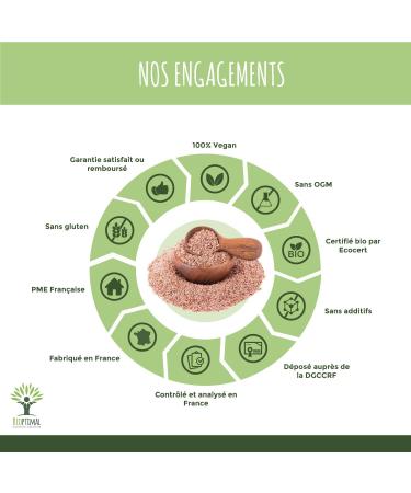 Psyllium Blond Bio - Bioptimal - Teguments de Psyllium - Husk Raw - Cosse non moulue - Riche en Fibre - Digestion Transit Coupe Faim - Origine Inde - Conditionn en France - Certifi Ecocert - 500g 500 g (Lot de 1) - Buy Online on GoSupps.com