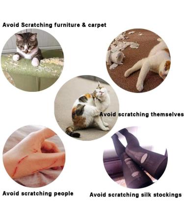 YMCCOOL 100pcs Clear Cat Nail Caps with Adhesives and Applicators - Pet Claw Covers for Kitten - Cat Nail Tips - Buy Online on GoSupps.com