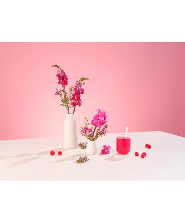 Premium Raspberry Flavour Collagen Powder with Hyaluronic Acid 400g | Bovine Collagen Type I II III Supplement for Women | Hydrolyzed Peptides with 8 Amino Acids | Alpha Foods 26 Servings - Buy Online on GoSupps.com