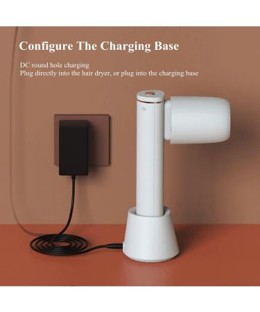 Portable Cordless Hair Dryer Rechargeable Blow Dryer w/Hot & Cold Air Wireless Hair Dryer for Travel School Pet Care Hairdressing Oil Painting - Buy Online on GoSupps.com