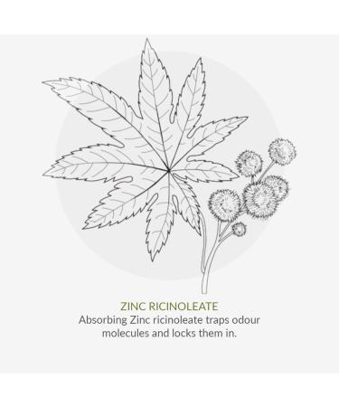 Buy GREEN PEOPLE Aloe Vera Deodorant 75 ML - Natural Eco-Friendly & International Shipping - Buy Online on GoSupps.com