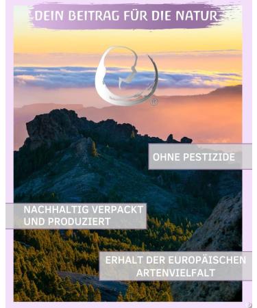 Organic Rosemary Oil Essential Oil (Cineol) - 10ml - Pure Spanish Rosemary for Biologically Cultivated Wellness - Buy Online on GoSupps.com