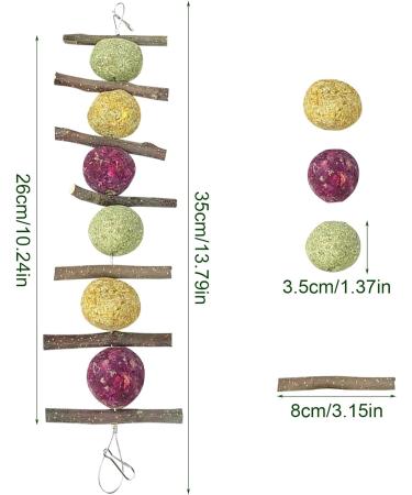 GNCLOUD Rabbit Toys: Apple Stick, Rose & Grass Ball - Hanging Boredom Breaker Treats for Hamsters, Chinchillas, Guinea Pigs, Gerbils - 1pc - Buy Online on GoSupps.com