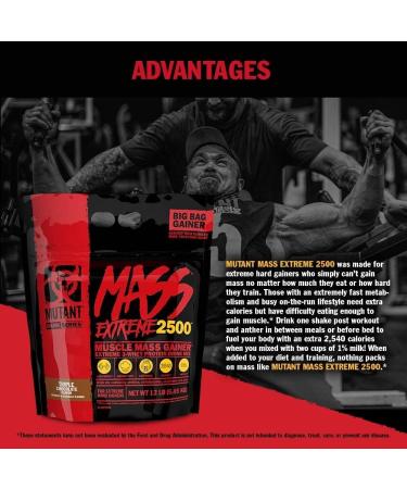 Mutant Mass Extreme Gainer - Whey Protein Powder for Muscle Growth | High Density Clean Calories (Jacked Berry Blast 12 lbs) - Buy Internationally - Buy Online on GoSupps.com