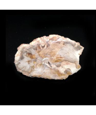 Natural Crystal Rough 87g A6-6sun Natural Stone Wood Crystal Specimen Home Decoration from Madagascar Home Decoration ERTEYIN - Buy Online on GoSupps.com