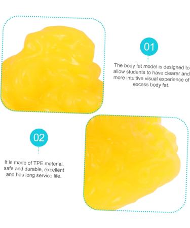 Baluue Fat 1lb Fat Model Manikin Mannequins Body Fat Anatomy Fat Replica with Display Base Fitness Tool Human Body - Buy Online on GoSupps.com