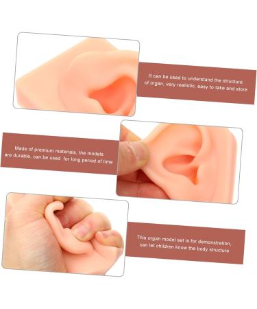 VILLFUL Khaki Silicone Ear Model for Jewelry Display and Earrings Piercing - Buy Online on GoSupps.com