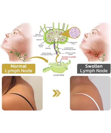 Flysmus Halolux Lymphvity Germanium Earrings 2PCS Flysmus Lymphvity Magnetherapy Germanium Earrings for Weight Loss Lymphatic Drainage Earrings (Gold+Sliver) - Buy Online on GoSupps.com