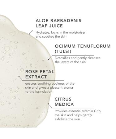 Daughter Earth Active Botanical Face Wash | Vegan Paraben & Sulphate Free | Hydrating & Brightening | Fights Pigmentation | 100 ml - Buy Online on GoSupps.com