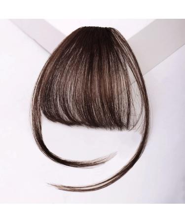 Bangs Bangs Hair Clip in Bangs Heat Resistant Thin Bangs Fringe Bangs Clip on Hairpiece One Piece in Fringe Natural Flat Air Bangs Hair Extensions for Women for Women Curved Bangs for Daily Wear (C B Dark brown